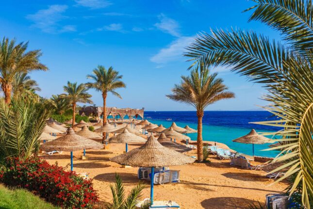 ✈️HURGHADA